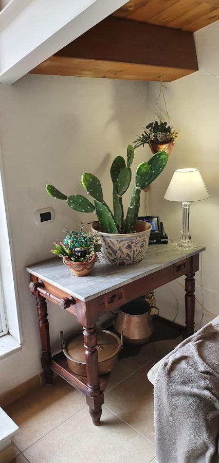 Palermit'Amo Bed & Breakfast Palermo Bagian luar foto
